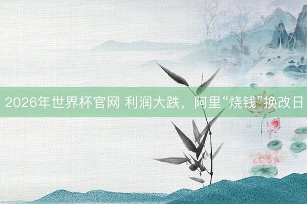 2026年世界杯官网 利润大跌，阿里“烧钱”换改日