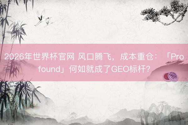 2026年世界杯官网 风口腾飞，成本重仓：「Profound」何如就成了GEO标杆？