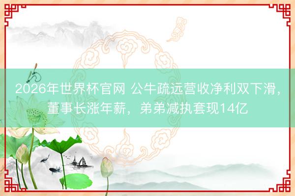 2026年世界杯官网 公牛疏远营收净利双下滑，董事长涨年薪，弟弟减执套现14亿
