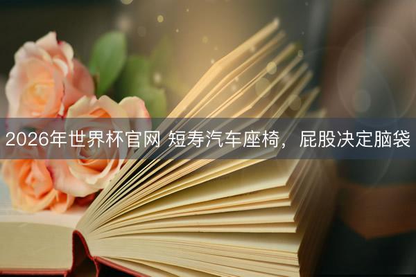 2026年世界杯官网 短寿汽车座椅，屁股决定脑袋