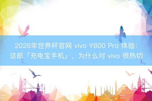 2026年世界杯官网 vivo Y600 Pro 体验:这部「充电宝手机」,为什么对 vivo 很热切