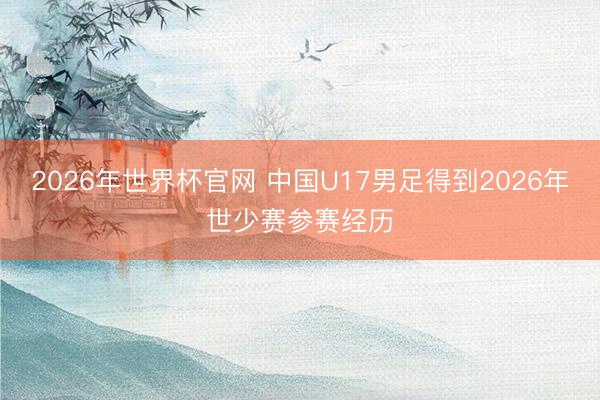 2026年世界杯官网 中国U17男足得到2026年世少赛参赛经历
