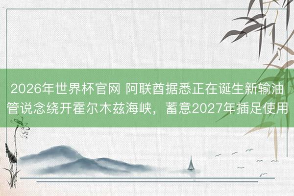 2026年世界杯官网 阿联酋据悉正在诞生新输油管说念绕开霍尔木兹海峡，蓄意2027年插足使用