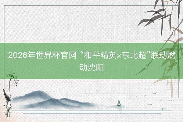 2026年世界杯官网 “和平精英×东北超”联动燃动沈阳