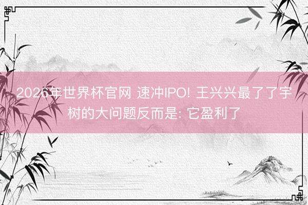 2026年世界杯官网 速冲IPO! 王兴兴最了了宇树的大问题反而是: 它盈利了