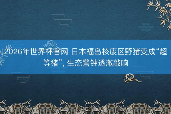 2026年世界杯官网 日本福岛核废区野猪变成“超等猪”， 生态警钟透澈敲响