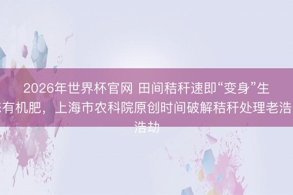 2026年世界杯官网 田间秸秆速即“变身”生态有机肥，上海市农科院原创时间破解秸秆处理老浩劫