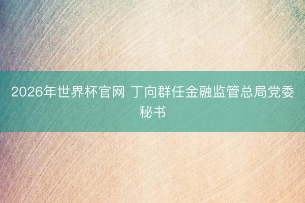 2026年世界杯官网 丁向群任金融监管总局党委秘书