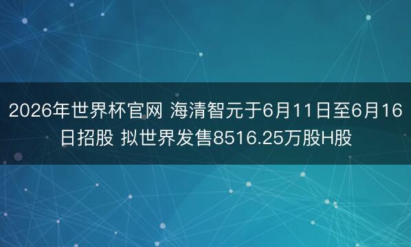 2026年世界杯官网 海清智元于6月11日至6月16日招股 拟世界发售8516.25万股H股