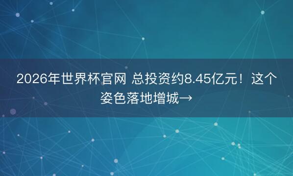 2026年世界杯官网 总投资约8.45亿元！这个姿色落地增城→